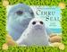 Go to record Cimru the Seal